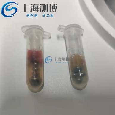 测博冷冻研磨仪能否完成小鼠肝组织脑组织研磨实验|浙江工业大学实验室