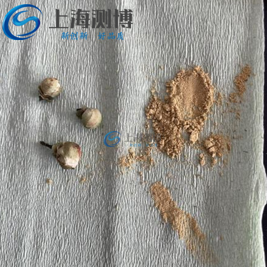 低温破壁新突破！冷冻研磨仪解锁山茶花活性成分高效提取密码