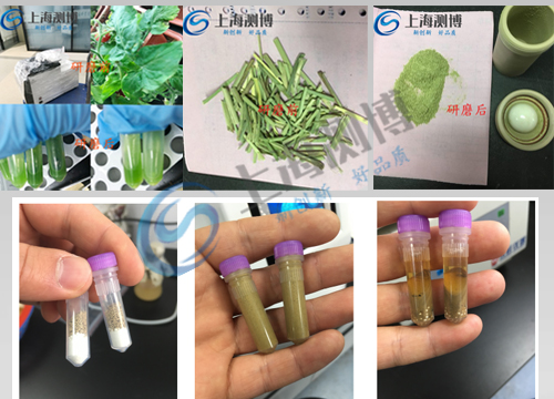 样品前处理设备12