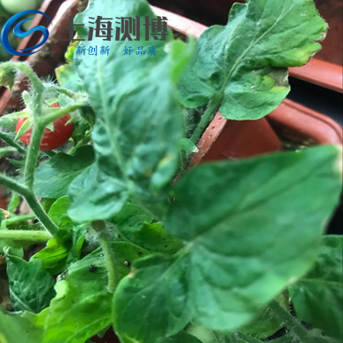 冷冻组织研磨机-CBCL-24研磨的实验方法