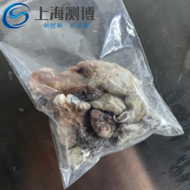 冷冻研磨仪研磨八爪鱼做同位素分析实验