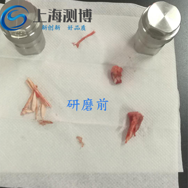 掼蛋网页
-全自动样品研磨仪进行研磨兔子腿骨实验