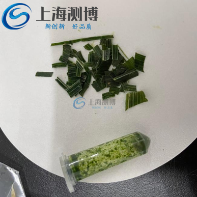 研磨小麦麦苗实验效果图